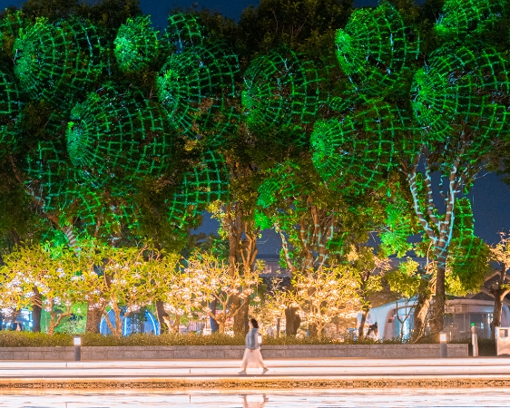 燈光效果1 燈光效果1