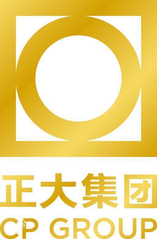 正大集团